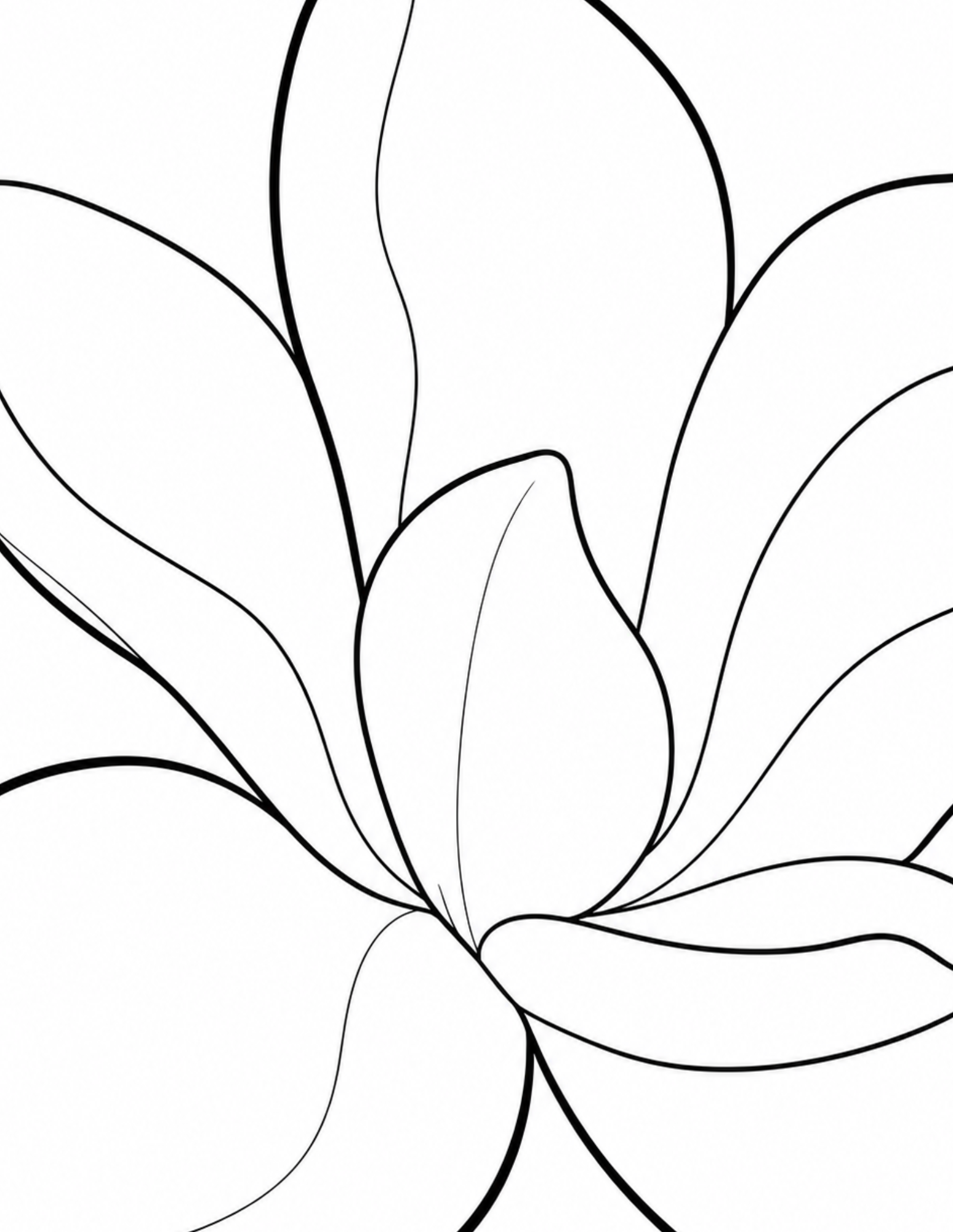 Interior coloring page featuring a close-up magnolia petal