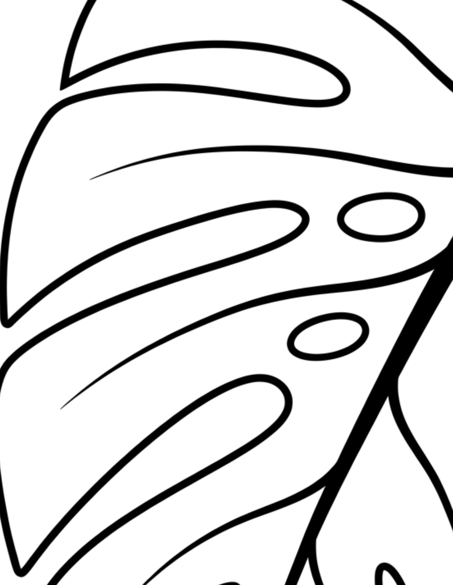 Close-up monstera leaf pattern coloring page