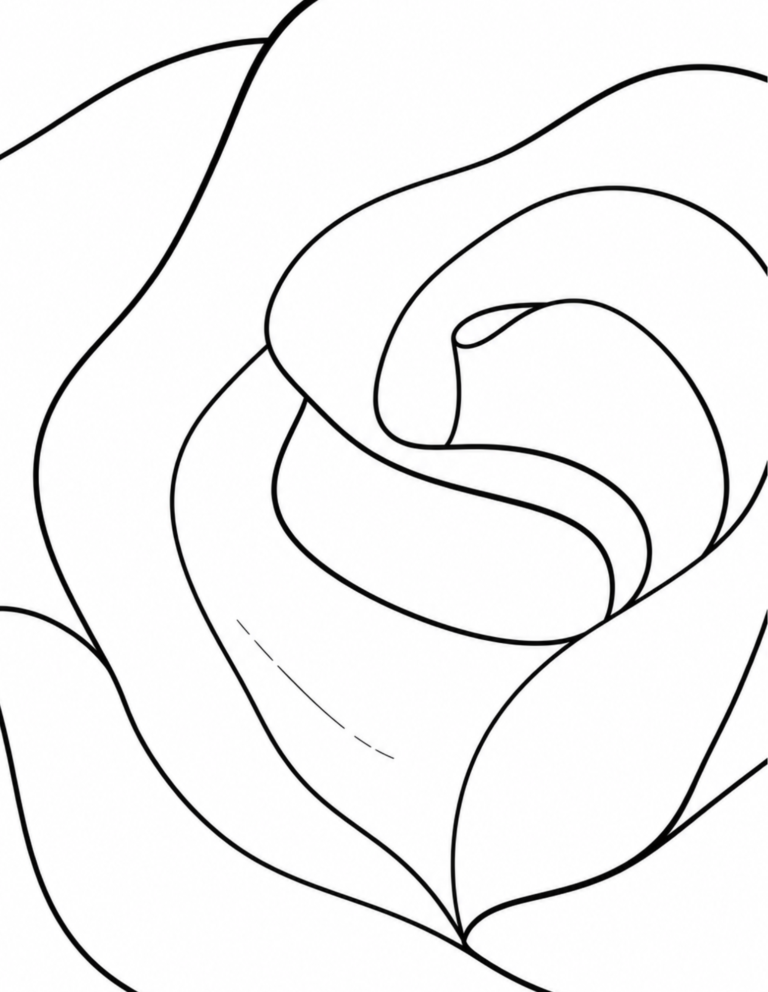 Close-up rose petal coloring page